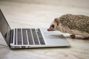 Webの副業をオススメする理由。未経験でもPC1台で在宅可能